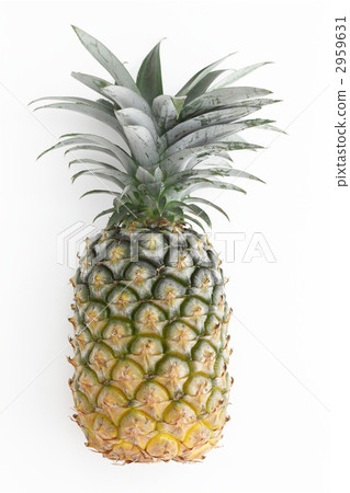 Pineapple from Okinawa 2959631