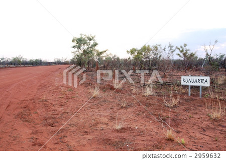 northern territory, virgin forest, primeval forest 2959632
