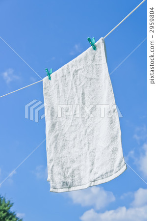 looking up, hang, hanging 2959804