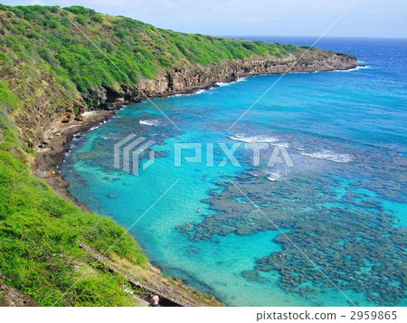 Hanauma Bay 2959865