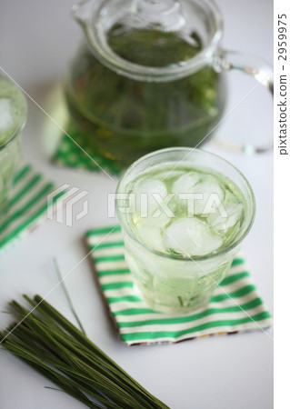 草本茶 中草藥冰紅茶 下午茶 2959975