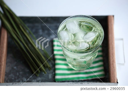 冰茶 有條紋的 帶條紋的 2960035