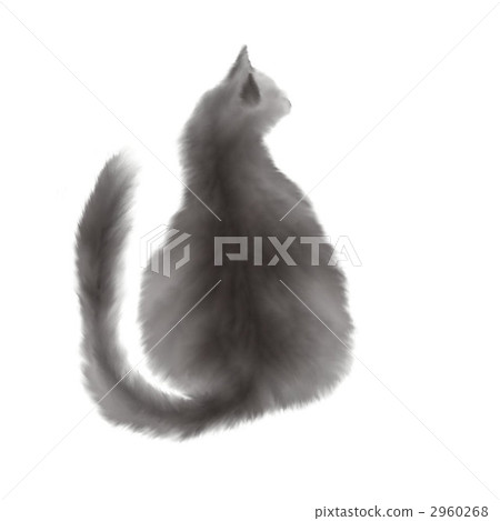 毛孩 貓 貓咪 2960268