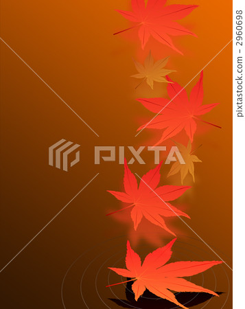Maple Maple 2960698
