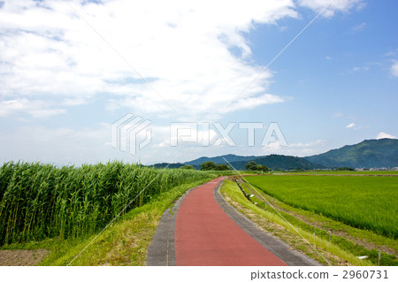 Biwako Yoshi Flute Road 2960731