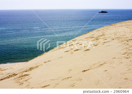 Tottori sand dunes Tottori sand dunes 2960964