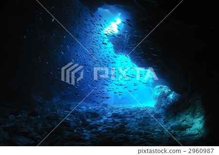 在洞穴的入口處有一群hatapanco 在洞穴的入口處有一群hatapanco 2960987