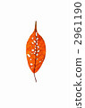 Play with fallen leaves 2961190