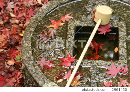 Hand bowl of Kinpukuji 2961450