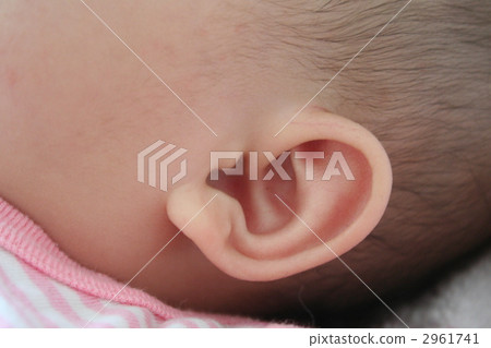 body parts, ear, ears 2961741