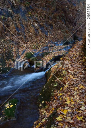 山溪 山澗 水面 2962684