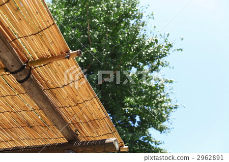 Summer sun with Yoshitsu 2962891