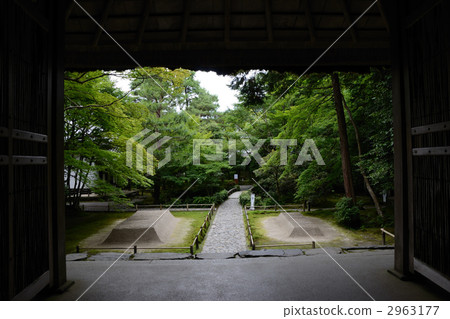 Summer Jokoin 2963177