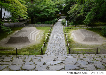 夏季Jokoin 2963178
