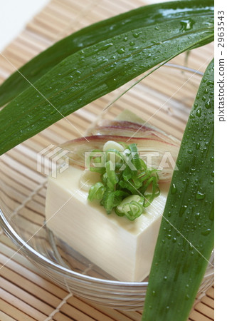 冷豆腐 日式絹豆腐 經編 2963543