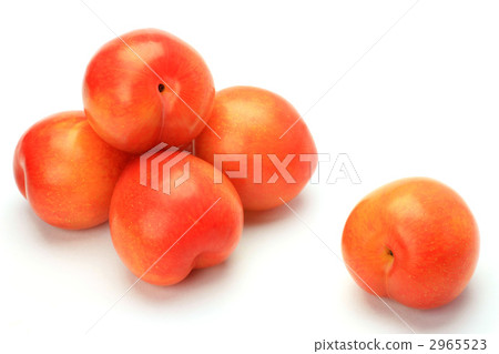 Plum Plum 2965523