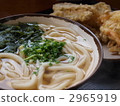 Udon  2965919