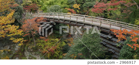 猿橋 橋 橋樑 2966917