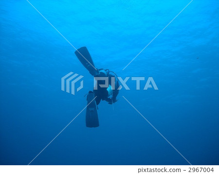 戴水肺潛水 潛水員 背影 2967004