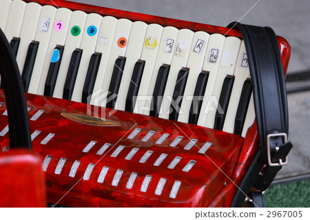 Alto Accordion 2967005