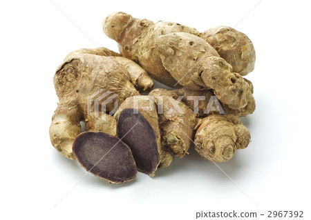 黑薑黃 黑薑黃 2967392