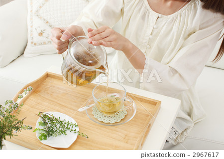 香草茶 香草茶 2967617