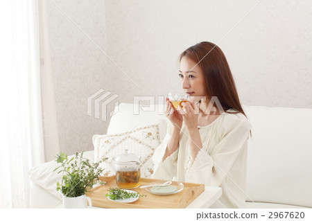 香草茶 香草茶 2967620