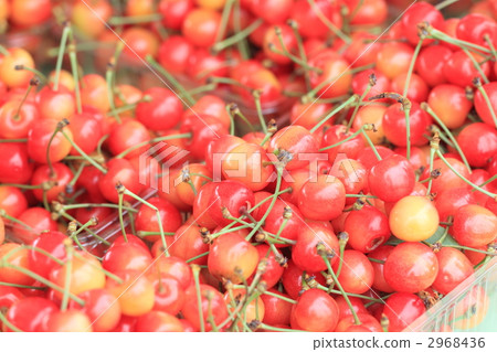 Cherry 2968436