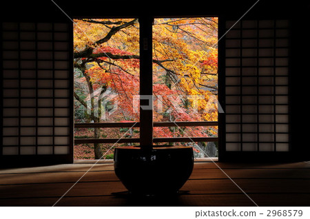 太宰府秋天的葉子·Komei禪寺 2968579