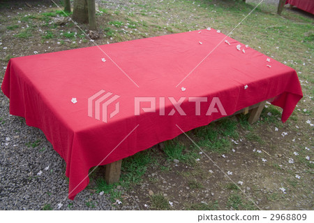 Daigoji Spring Spring 2968809