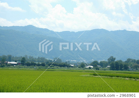 Countryside scenery in Azumino 2968901