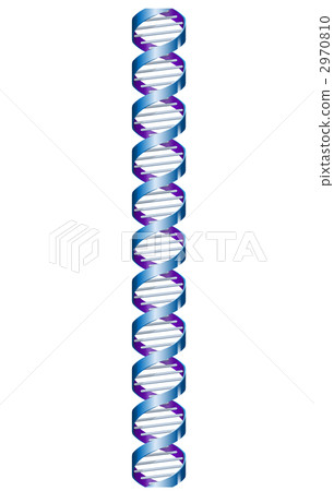 DNA 基因 雙螺旋 2970810