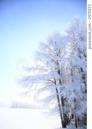  有霧的冰 2970815