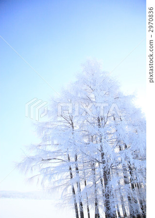  有霧的冰 2970836