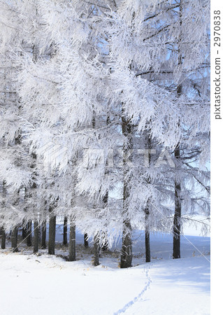  有霧的冰 2970838