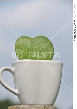 Hoyakery Hoyakery 2971795