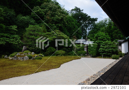 Pentacaster, the garden of Tsurugame and the rimmed side 2972101
