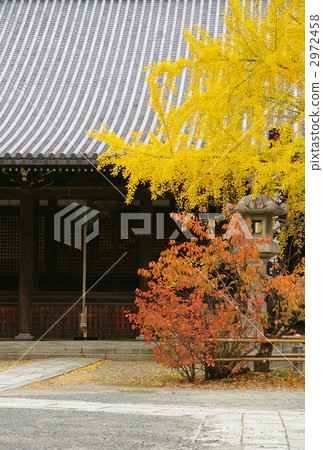Himejiji 2972458