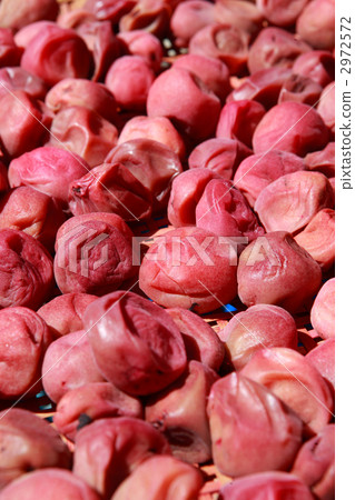 Umeboshi in the sun drying sky 2972572