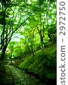 Kyoto Sagano Tonokoji Temple Green maple cobble stone entrance gate 2972750