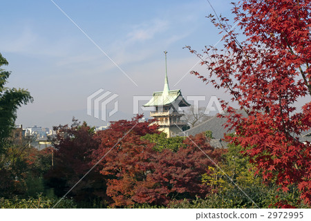 Daikumoin祗園亭 2972995