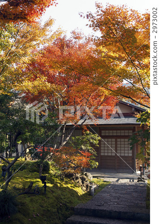 Kodaiji Temetsuan 2973002