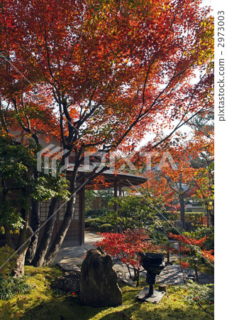 Kodaiji Temetsuan 2973003