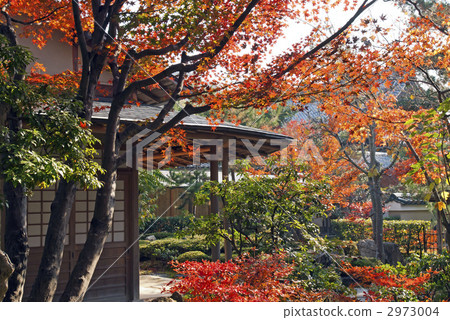 Kodaiji Temetsuan 2973004