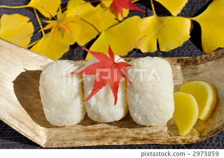 rice ball, slipknot, autum 2973859