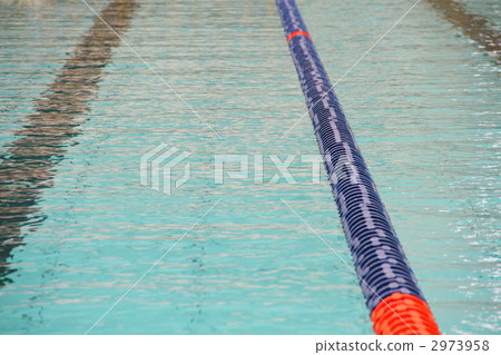 一個游泳 2973958