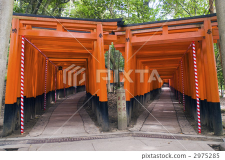 Fushimi-Inari Taisha Shrine Torii Torii Fushimi-Inari Taisha Shrine Torii Torii 2975285