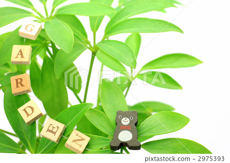 gardening  2975393