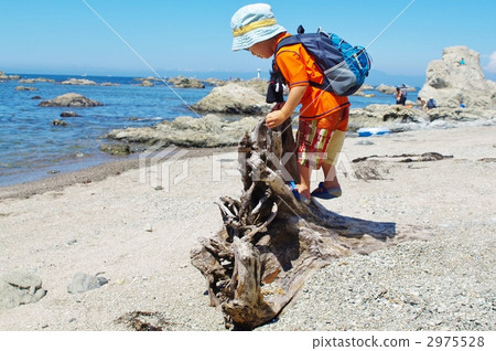 Driftwood and children 2975528