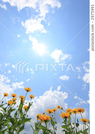 The sun of the rainy season The sun of the rainy season 2975991